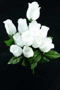 White Rosebud Bush x12  (Lot of 12) SALE ITEM